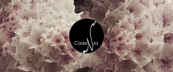Cadenza Banner