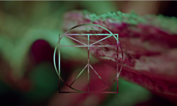Screen Shot 2015-11-16 at 4.30.28 PM