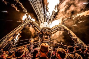 Arcadia Spider - by Sarah Ginn Photography