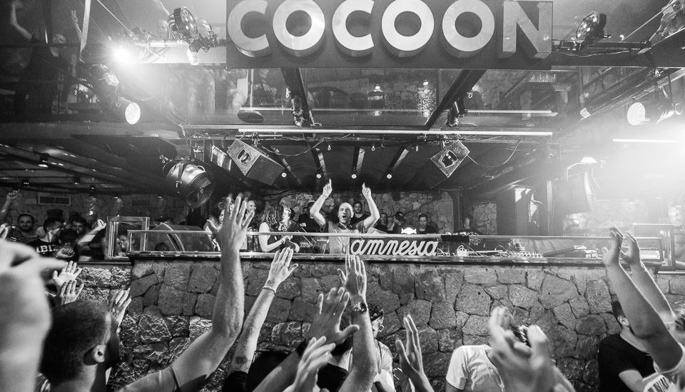 Cocoon Banner pic