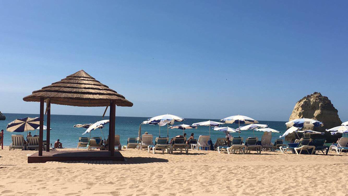 21686761_10213000315656063_2781067148357777145_o