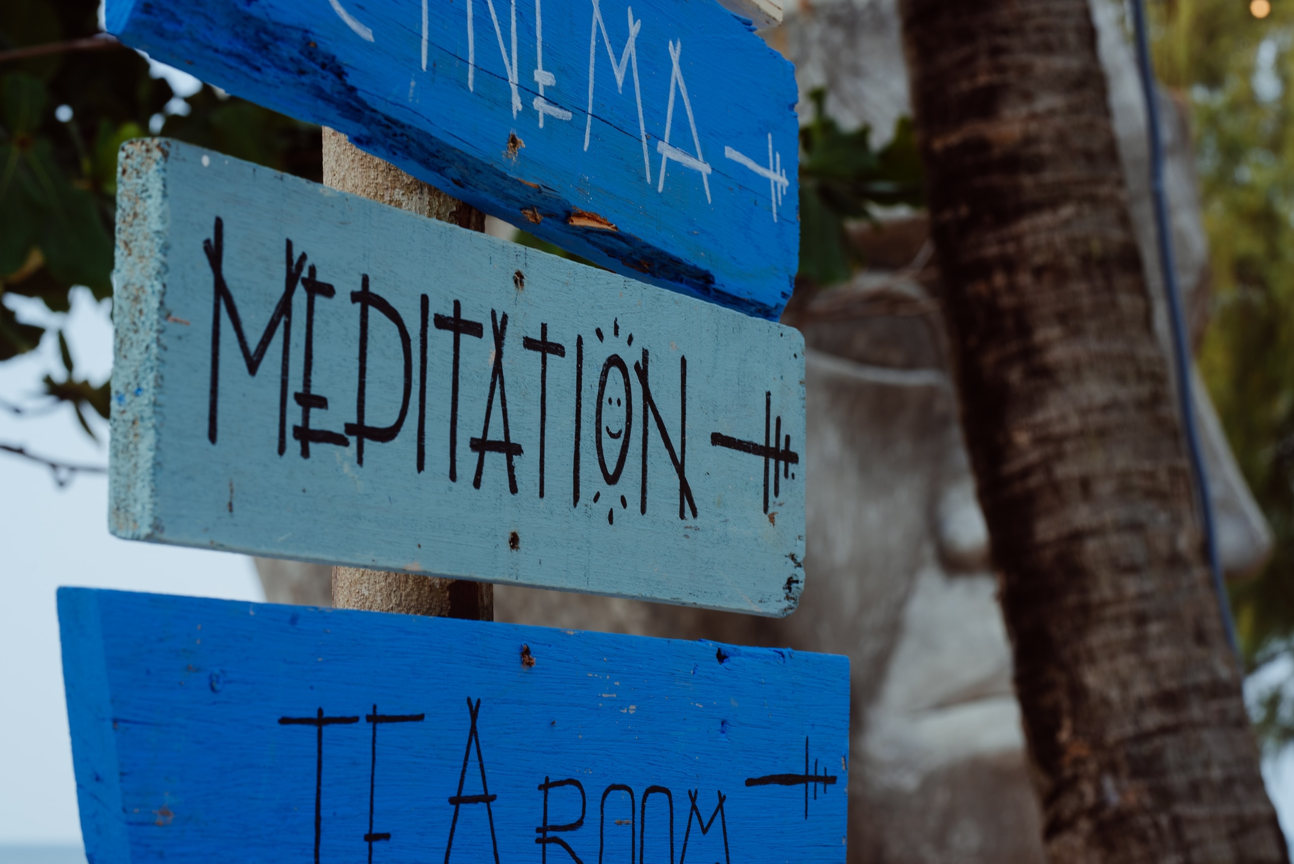 Epizode Festival 2020