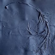 LABURNUM Records "Marches"