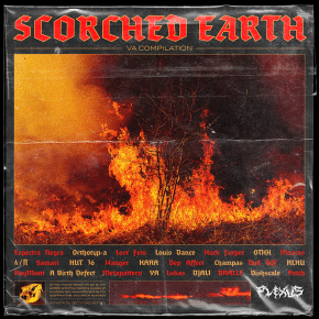 PLEXUS scorched earth