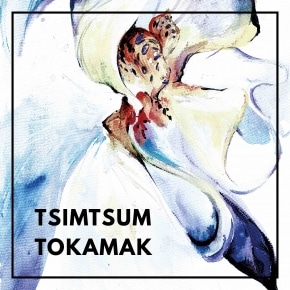 Tsimtsum Tokamak EP Raw Audio