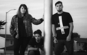 investing music Shadow Wulf Records