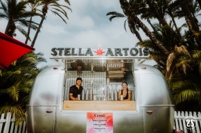 Stella Artois