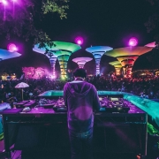 Lightning in a Bottle 2022