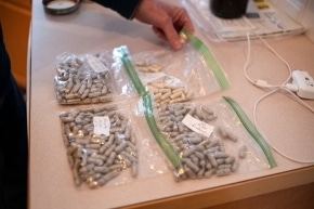 Colorado Decriminalize Mushrooms