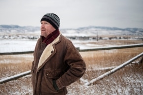 Colorado Decriminalize Mushrooms