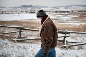 Colorado Decriminalize Mushrooms