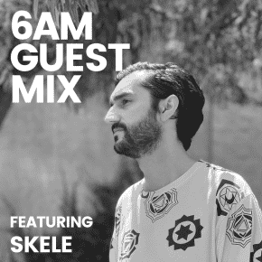 Guest Mix Skele