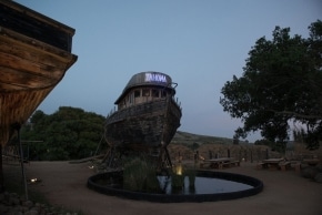 Catharsis Festival Mexico