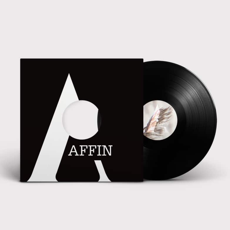 vinyl record