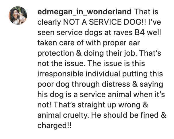Service Dog Excision