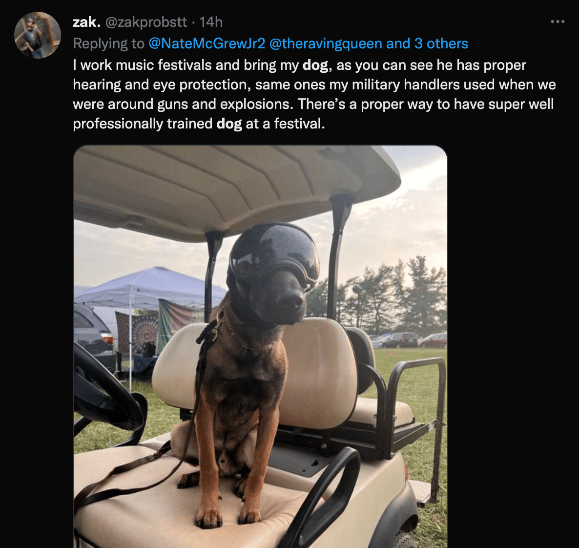 Service Dog Excision