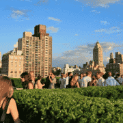 New Yorks MET launches summer electronic music nights