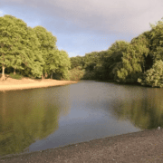 Police praise nice crowd