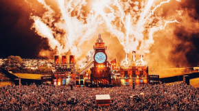 UK Festival Mixed Reactions