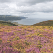 Illegal rave host banned