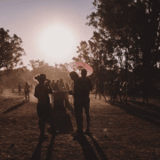 Strawberry Fields Cancelled