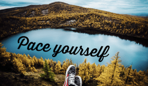 Renegade Party Guide 101