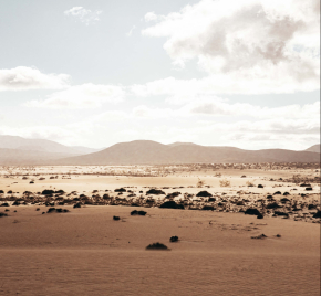 Renegade Party Guide 101