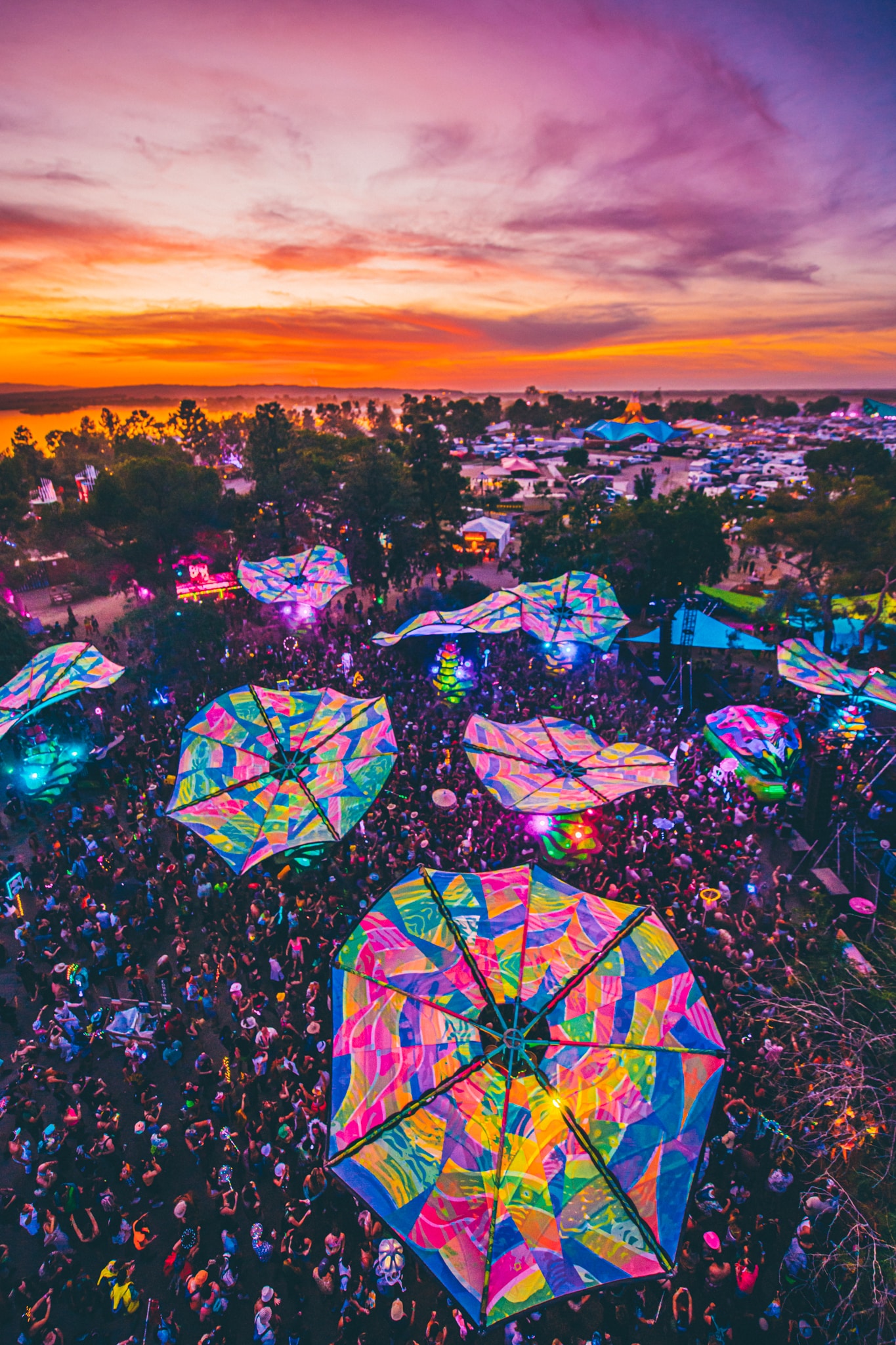 20 Years of Lightning