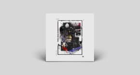 illegal alien records