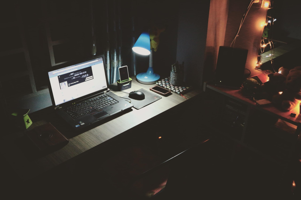 Electronic Music Industry Career